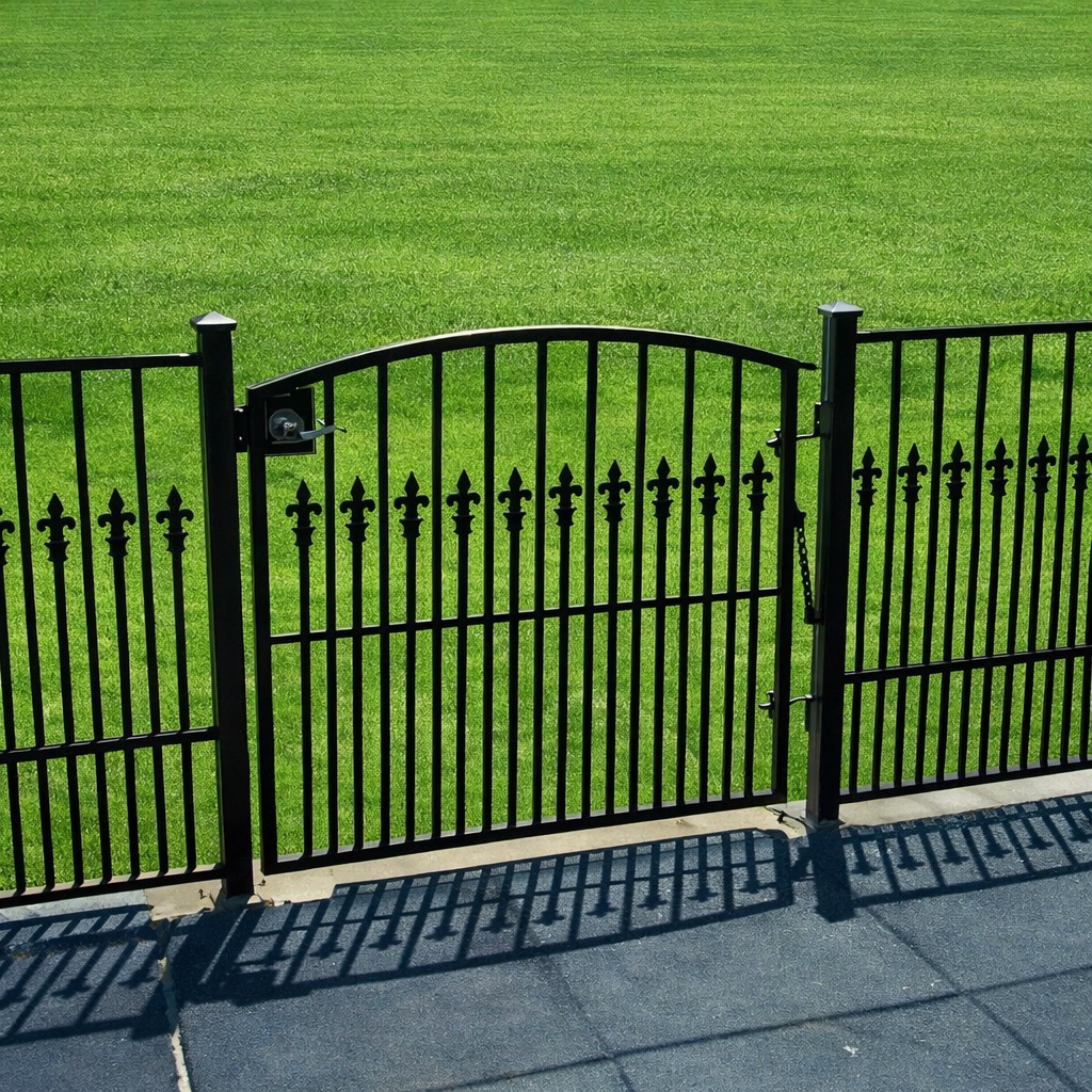 Black arched steel walk gate with spear-point pickets